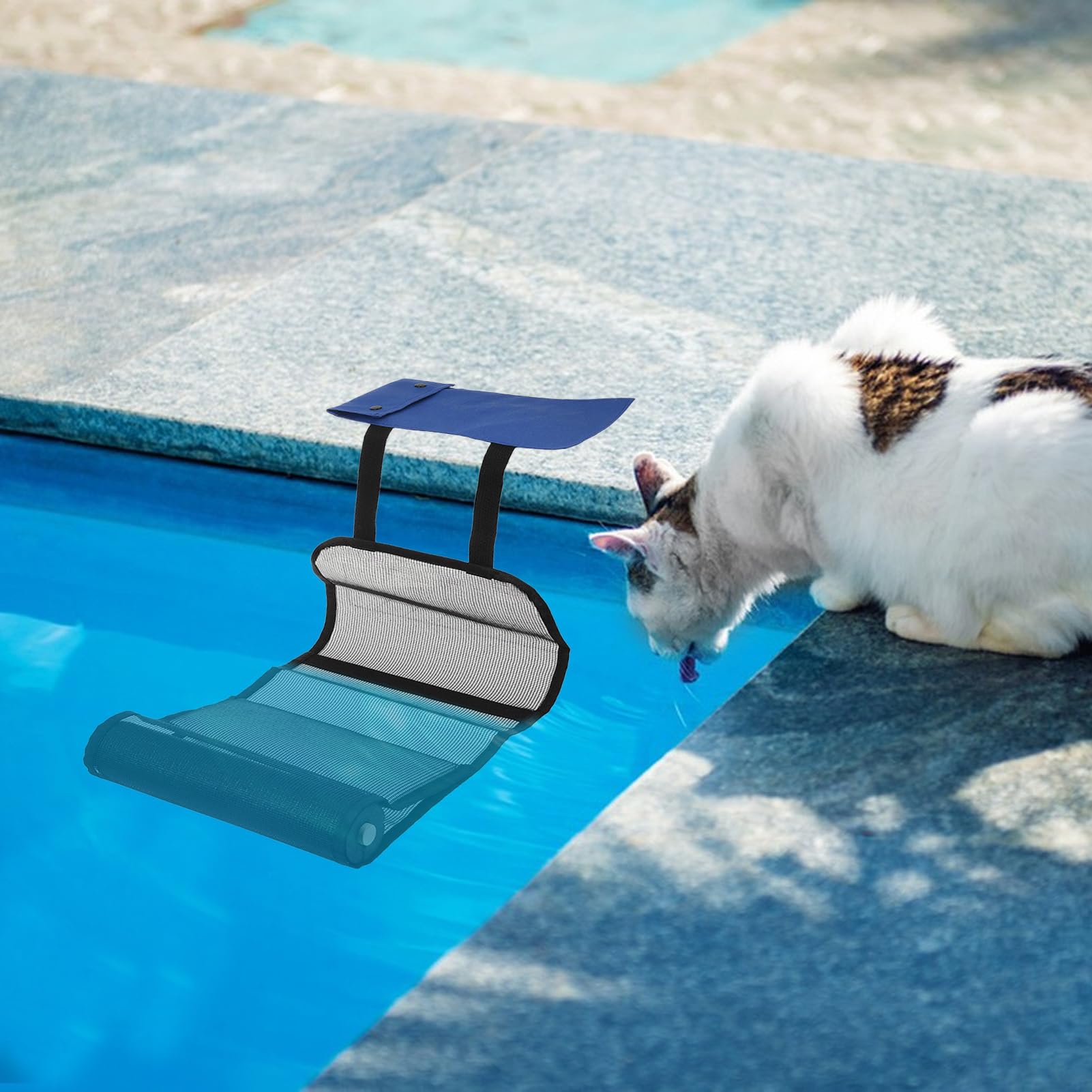 Rampe d'évasion – Échelle d'évacuation de 27,9 cm, rampe de sauvetage robuste pour animaux, pliable et variable en tissu Oxford pour grenouille | Protection multifonction en maille bleue, rampe