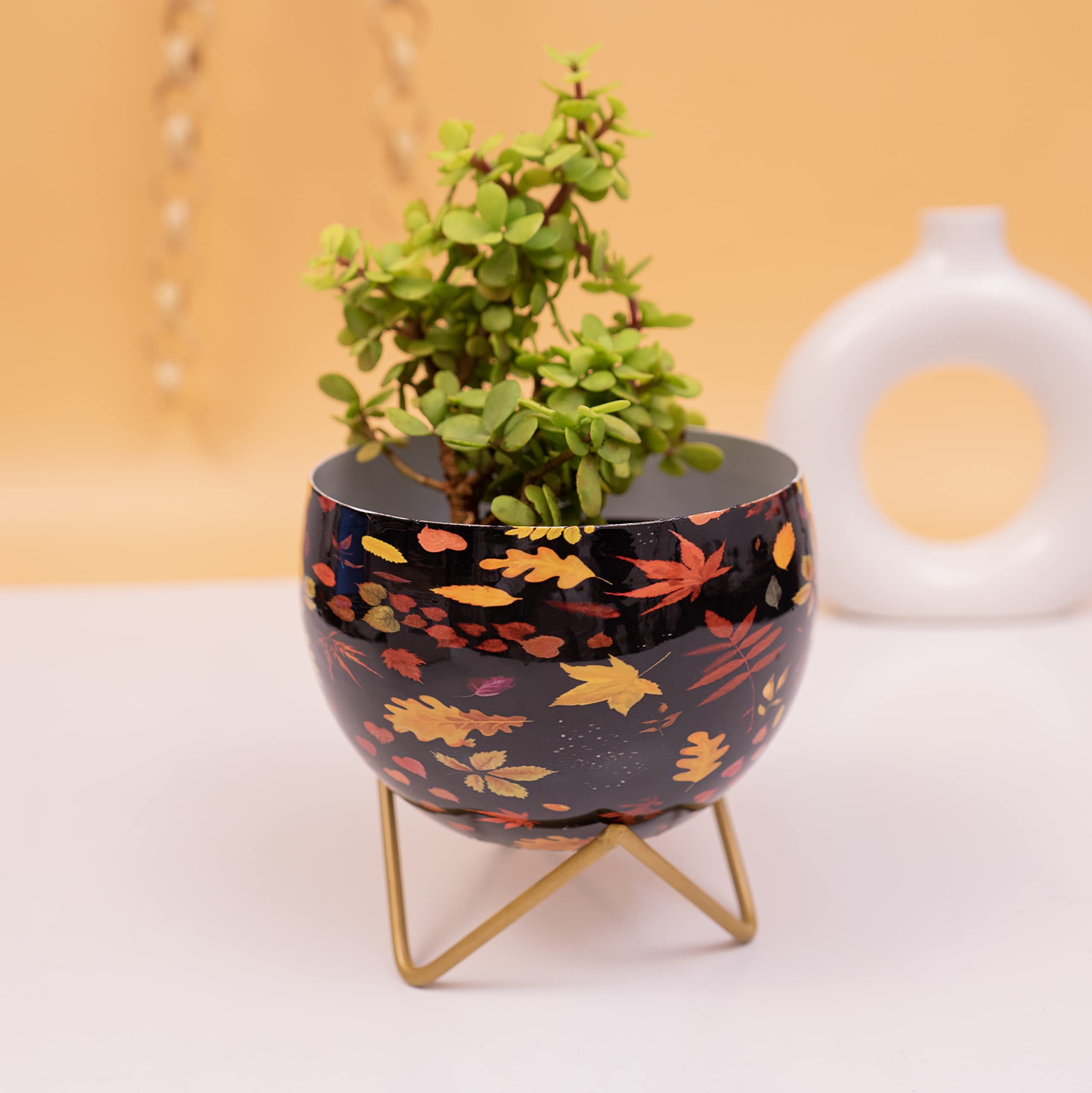Kyari Graceful Black Leaf Print Metal Pot with Stand, Rust-Free Powder Coating, Indoor & Outdoor Use, Home & Office Decor, Plants Not Included, Pot Size: 10 * 14.5cm, Stand Height: 5cm (B09SLVXCJ9) Amazon Price History, Amazon Price Tracker