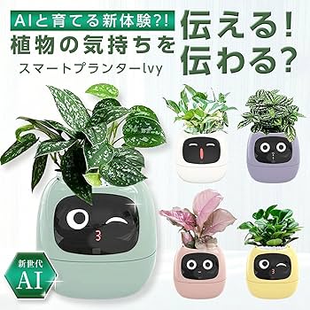 スマートプランター Ivy 新品未使用 71V89K4b2UL._UF350,350_QL80_.jpg