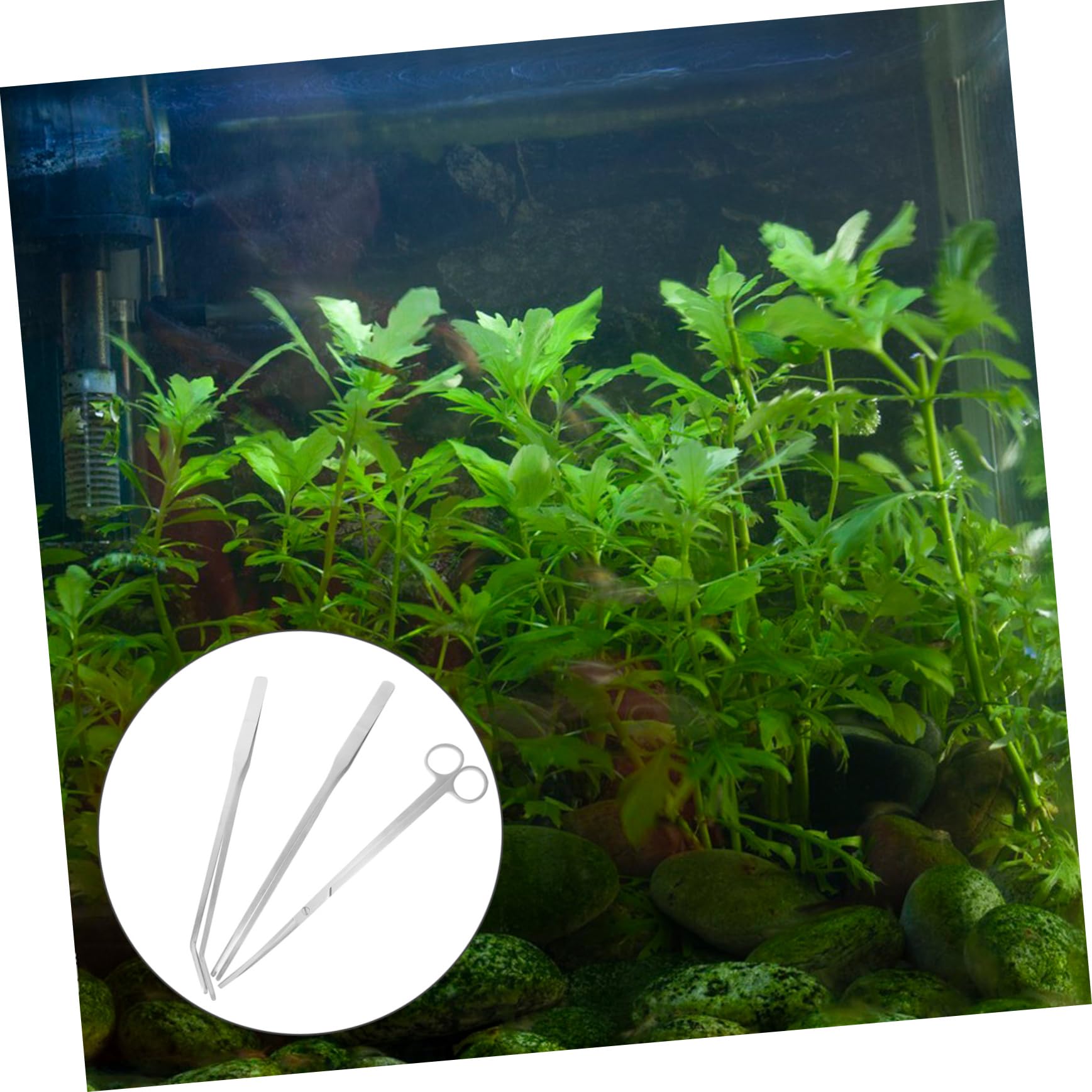 5 Set Strumenti per Acquari Inossidabile e Pinzette per Piante Acquatiche Ergonomici per Manutenzione e Pulizia Del Serbatoio