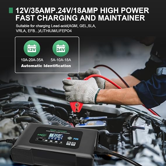 25Amp 12V&24V Smart Lifepo4 Battery Charger - Trickle/DCP Car Battery Charger with SB-50 Plug&Alligator Clip