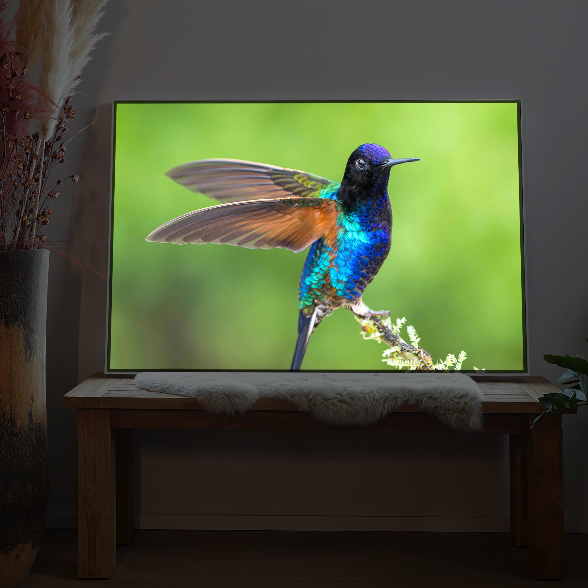 LED Wandbild Bunter Vogel Ast – Beleuchtetes Natur Tier Leuchtbild