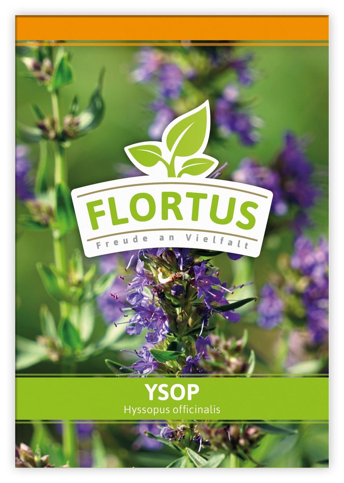 FLORTUS 2000-0469-100x Ysop (100 Tütchen) (Ysopsamen)