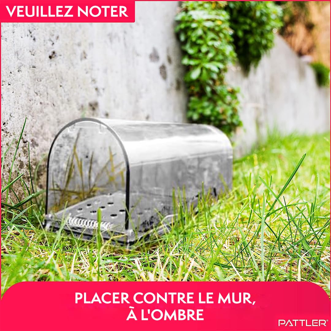 PATTLER® Piège à Souris Vivante Extra Grand - Cage de Capture sans Tuer pour Souris, Rats et Rongeurs - Nasse Réutilisable avec Trous d'Aération - Intérieur & Extérieur - X1 Transparent