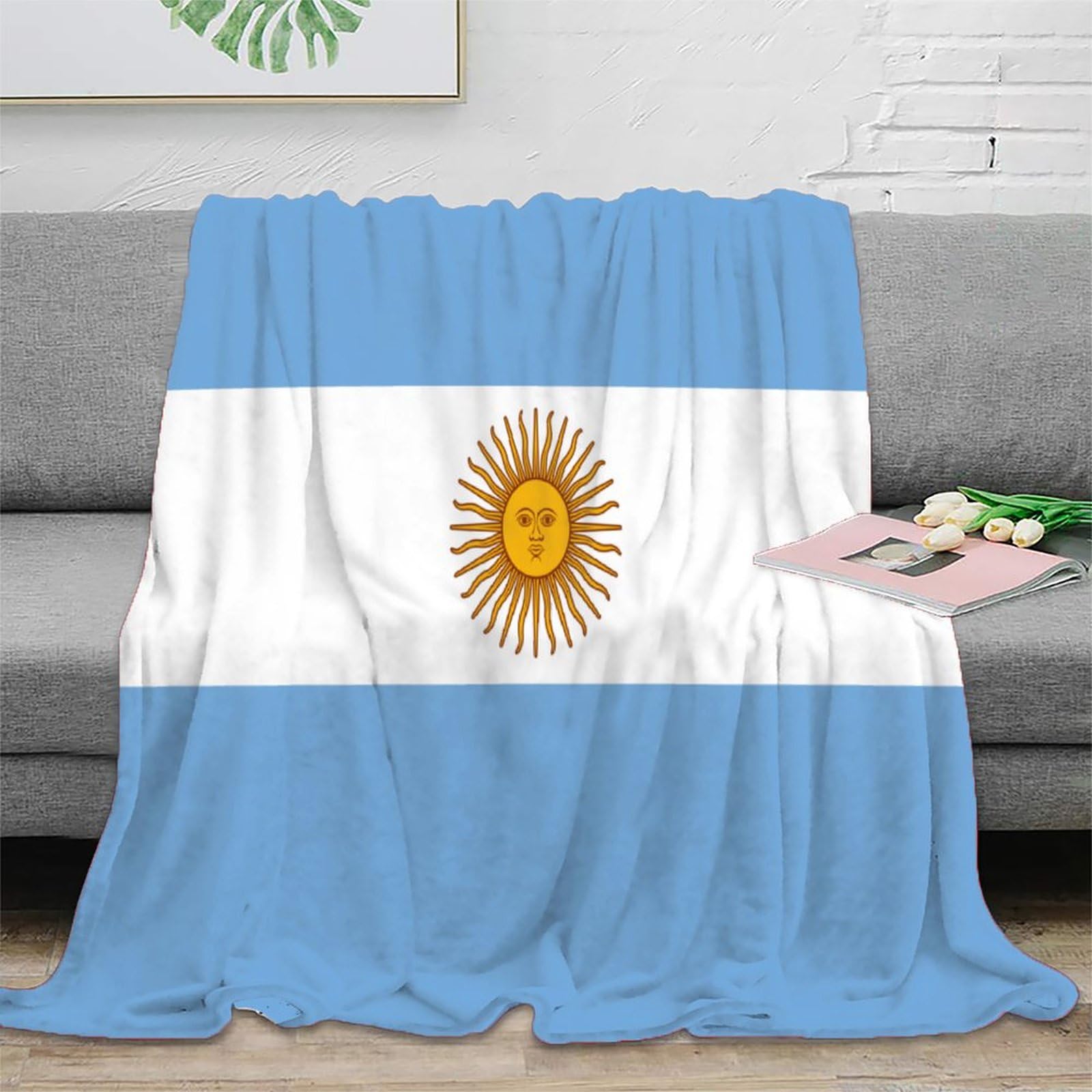 Strunt Argentina Flag 3D National Flag Pattern Fleece Throw Blanket For Sofa Couch Bed Decor Plush Blanket National Flag Style Warm Fuzzy Blanket 60X80inch(150X200cm)