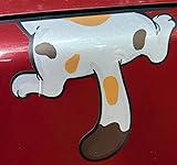 Review Image by Hodor Hodor