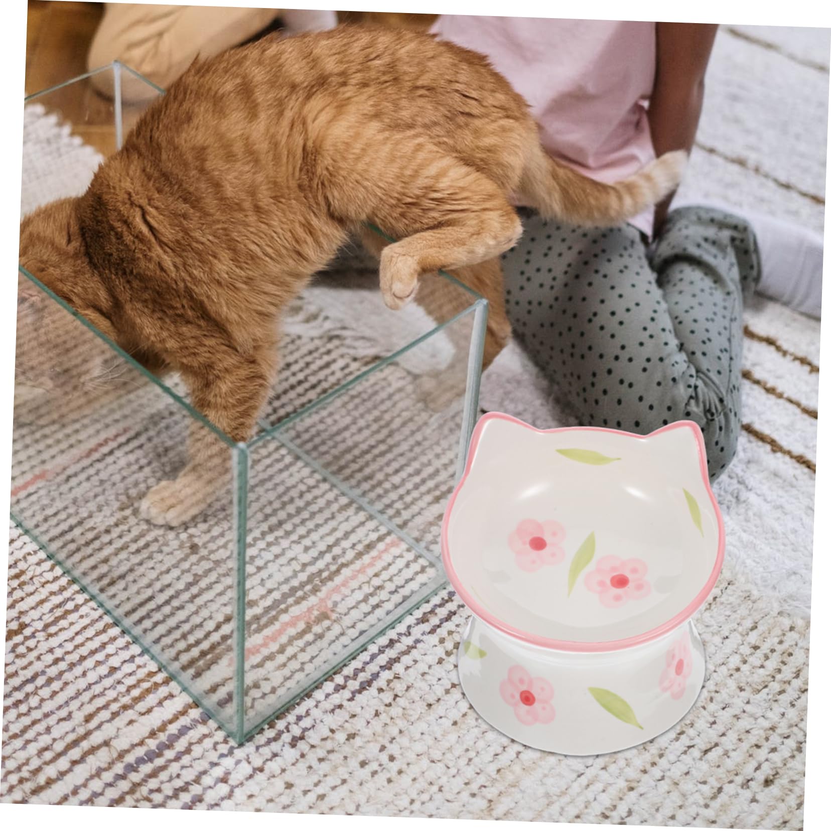 INOOMP 2 Stück Erhöhte Katzennäpfe aus Keramik rutschfeste Futterschalen für Katzen Spülmaschinenfeste Wassernäpfe für Haustierfütterung