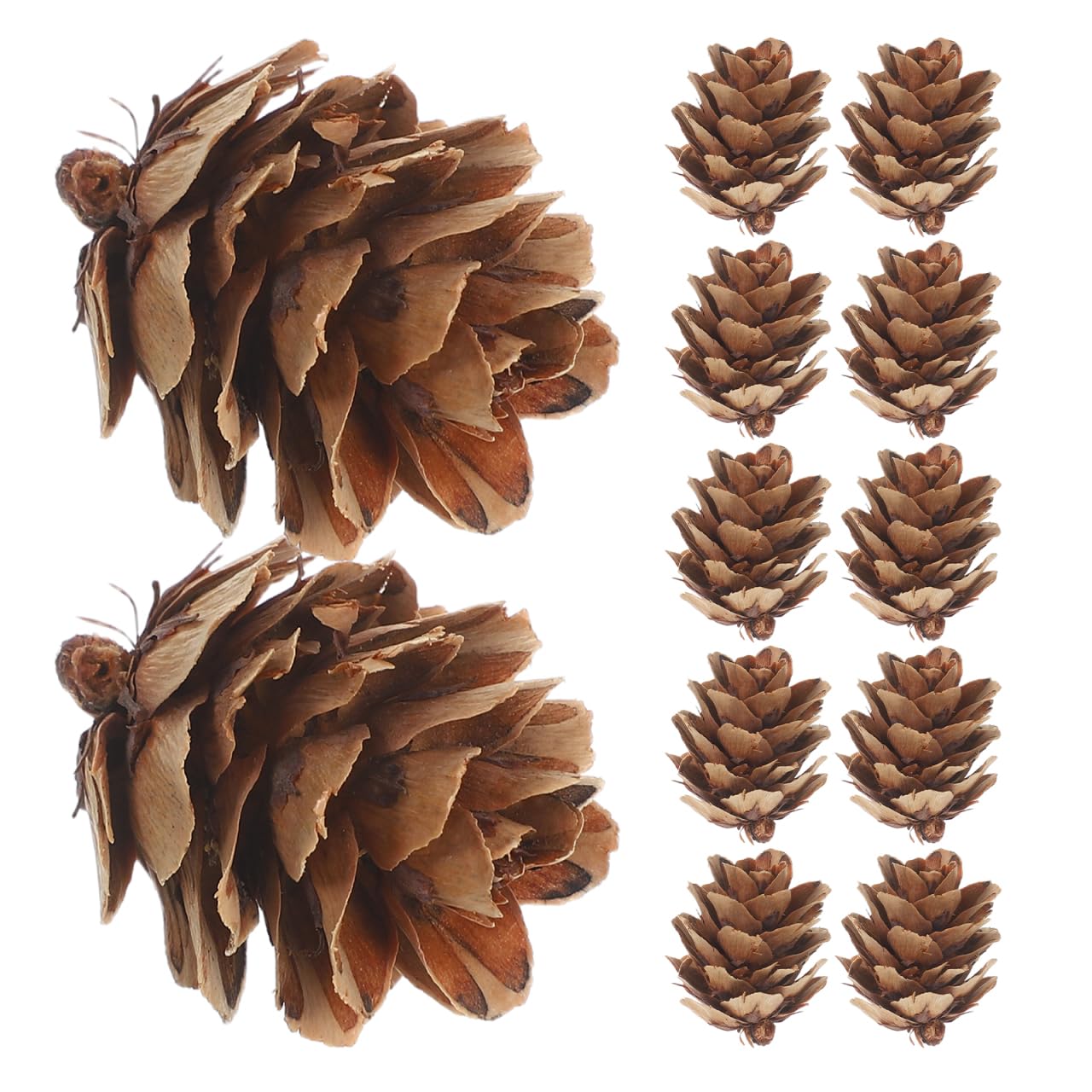 IMIKEYA 450 Stück Mini Tannenzapfen 1-2cm Weihnachten Tannenzapfen Ornamente hängende Weihnachtsdekorationen für Weihnachtsbaum Party Dekoration DIY Projekte
