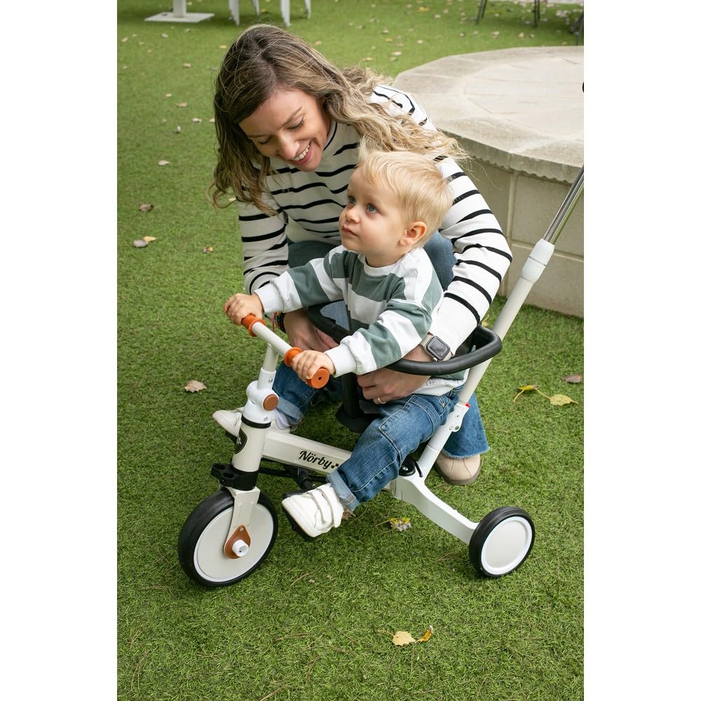 Interbaby Norby: 5 in 1 Dreirad und Laufrad mit Verdeck, 1 bis 5 Jahre