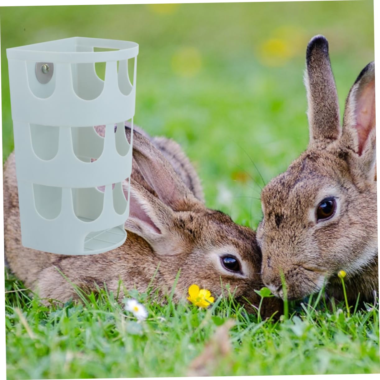 ifundom Plastic Feeder Bowl with Grass Case for Rabbits Chinchillas Birds Durable Deep Design Food Spillage Random Color for Random Color