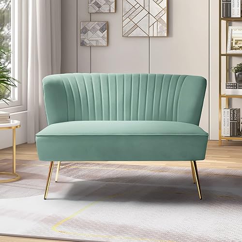 TINA'S HOME Sofá biplaza contemporáneo de terciopelo, sofá biplaza tapizado con patas de metal dorado, pequeño sofá copetudo de 2 asientos sin