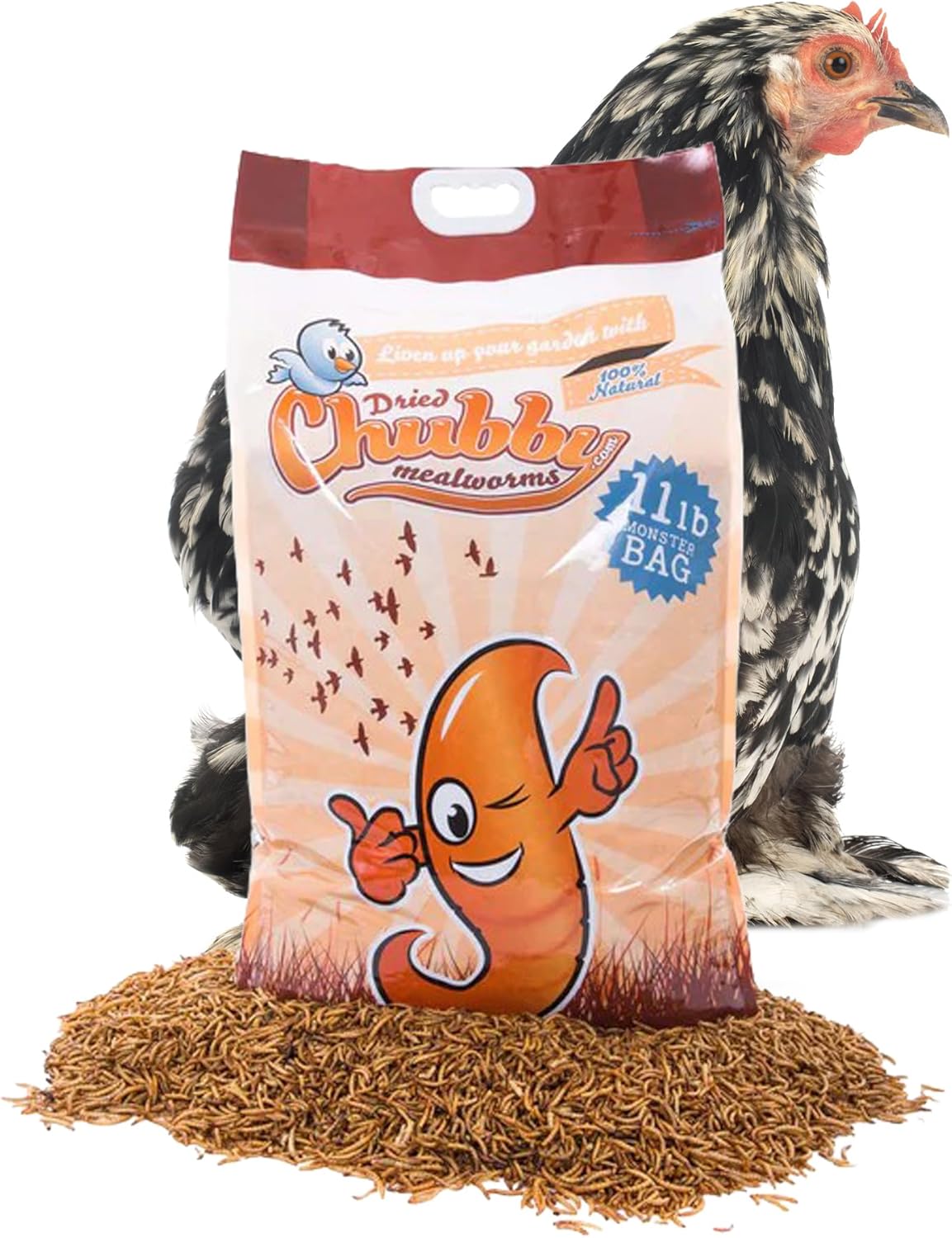 Chubby Dried Mealworms | 11 lbs | High-Protein Non-GMO Treats for Chickens, Ducks, Wild Birds & Backyard Pets