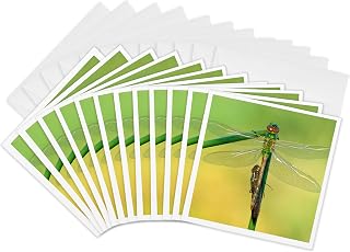 3dRose Greeting Cards - Canada, Ontario. Green darner dragonflies on stem. - 12 Pack - Canada