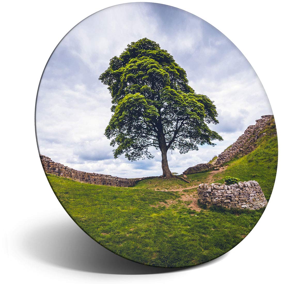 Destination Vinyl Ltd Magnet For Refrigerator, Fridge - Hadrian's Wall Northumberland For Office, Cabinet And Whiteboard, Magnetic Stickers, 2196