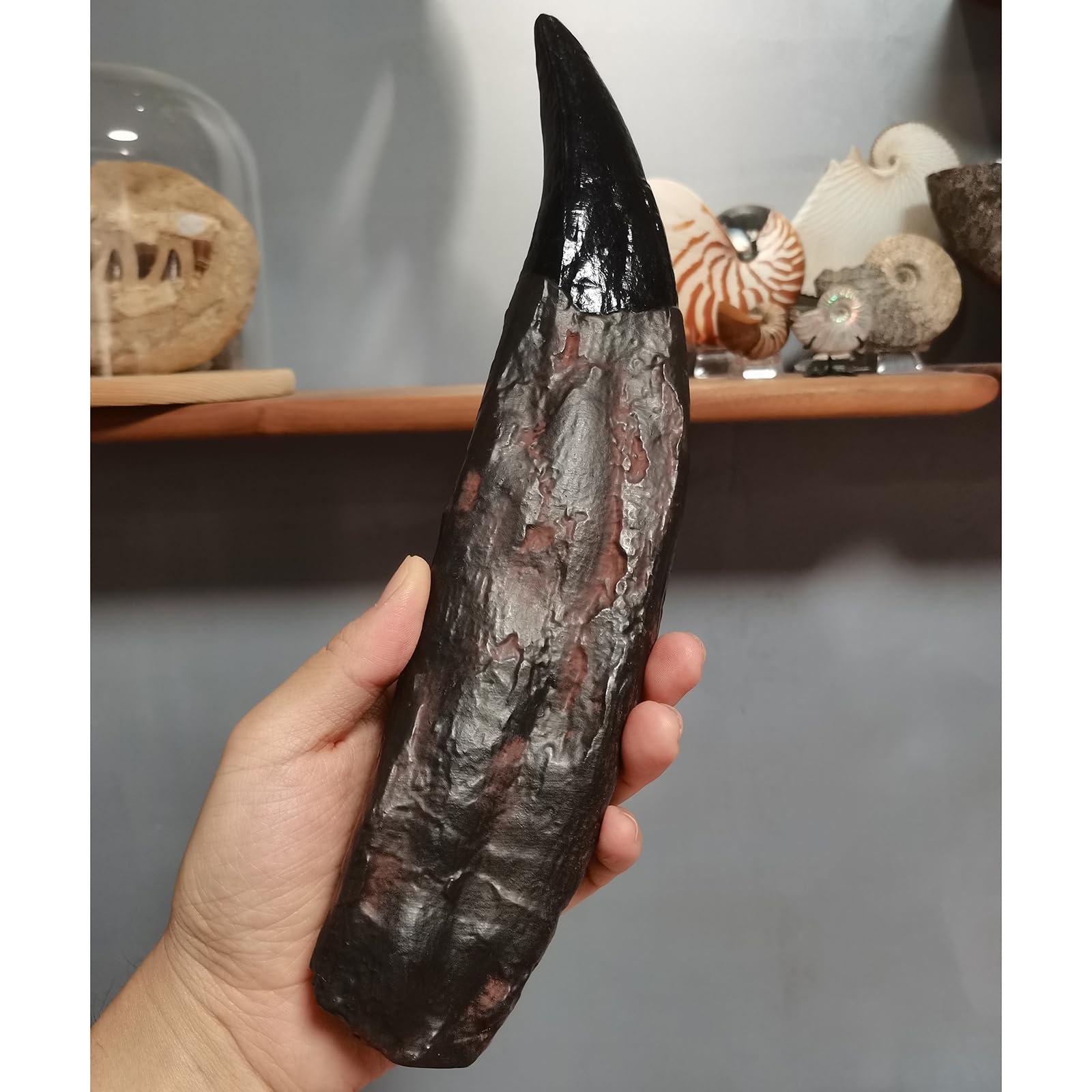 T-Rex - Estatua de diente de calavera de dinosaurio, réplica de fósil para regalo decorativo coleccionable educativo