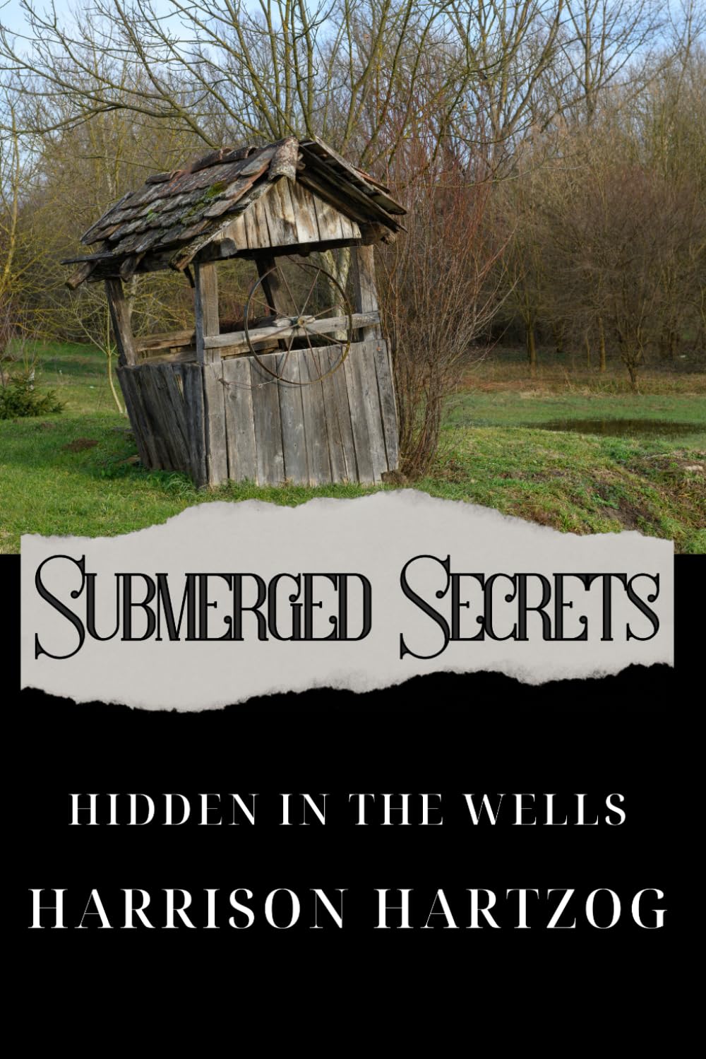 Submerged Secrets: Hidden In The Wells (Whispers of Deceit: The Womick Brothers Mysteries)