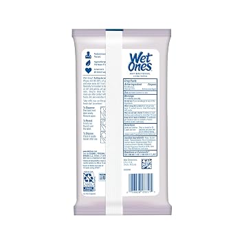 Wet Ones Antibacterial Lavender Hand Wipes | Travel Wipes Case, Moisturizing | 20 ct. Travel Size Wipes (10 pack)