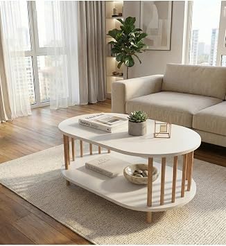 İskandinav Tarzı Alt Raflı Oval Orta Sehpa Dekoratif Salon Masası (beyaz)
