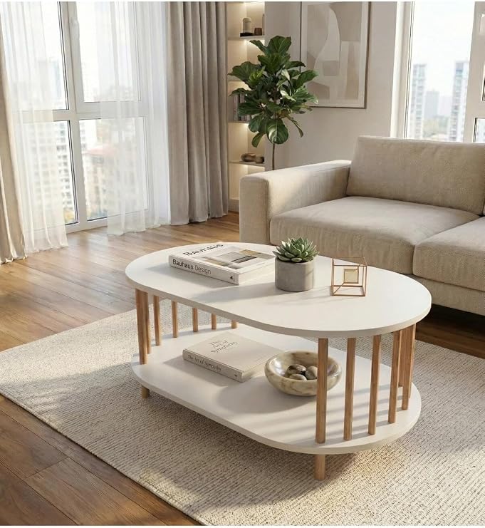 İskandinav Tarzı Alt Raflı Oval Orta Sehpa Dekoratif Salon Masası (beyaz)
