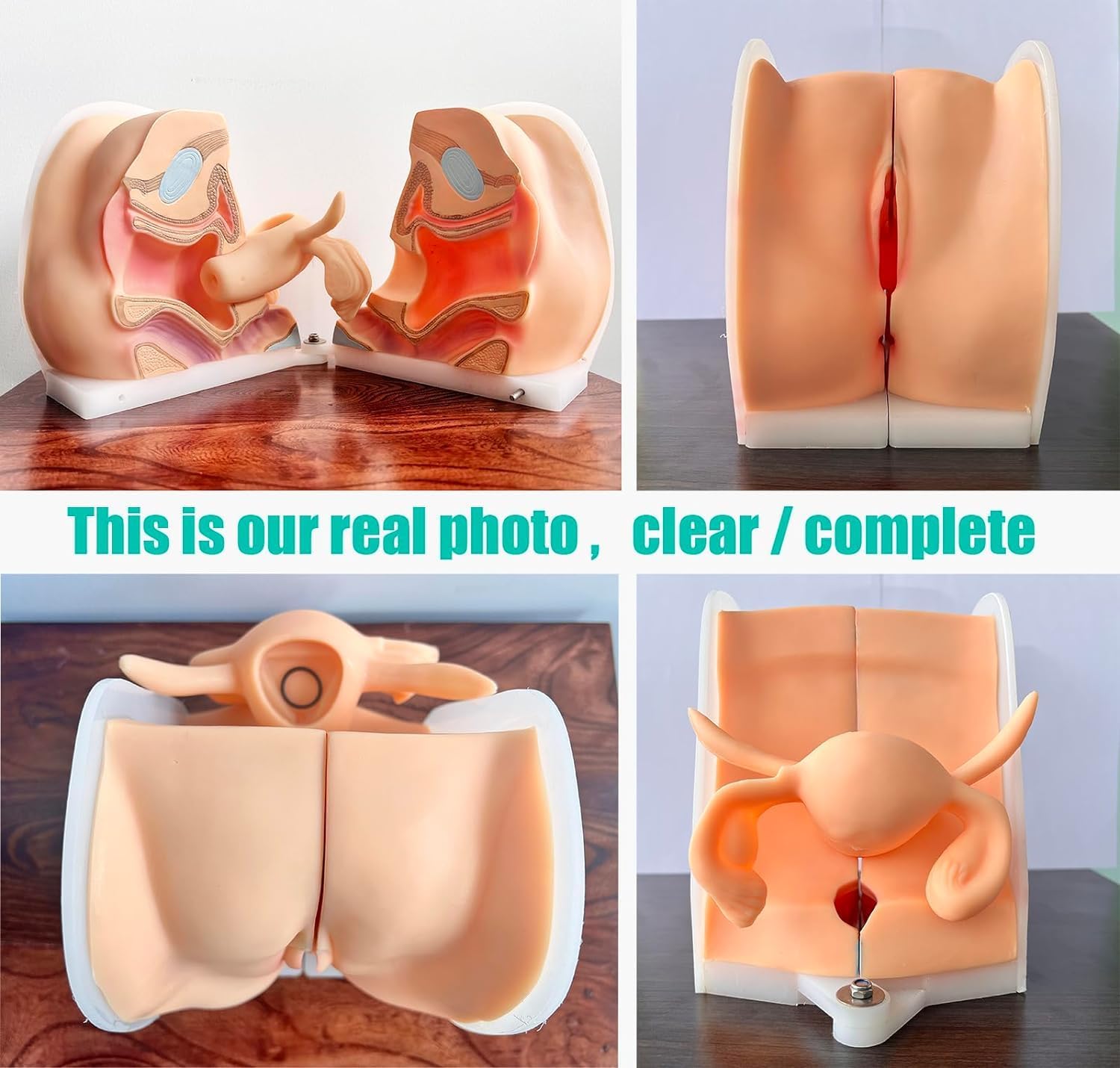 Żeński model manekina ginekologicznego, miękki silikonowy model pochwy szyjki macicy 1: 1 Medyczny model ludzki z dokładną strukturą anatomiczną dla zrozumienia struktury i funkcji
