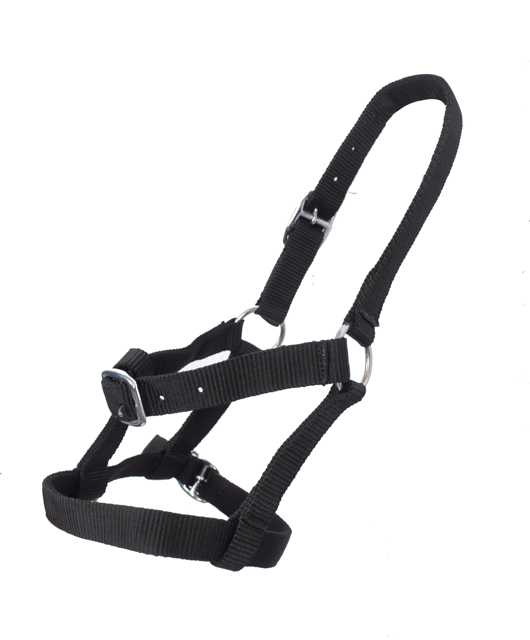 See full amazon price history chart for Adjustable Nylon Halter Cow Halter Horse Rope Halter Black Color Full Size Adjustable Nylon Halter Cow Halter Horse Rope Halter Black Color Full Size (B0BNG31G62) Amazon Price History, Amazon Price Tracker