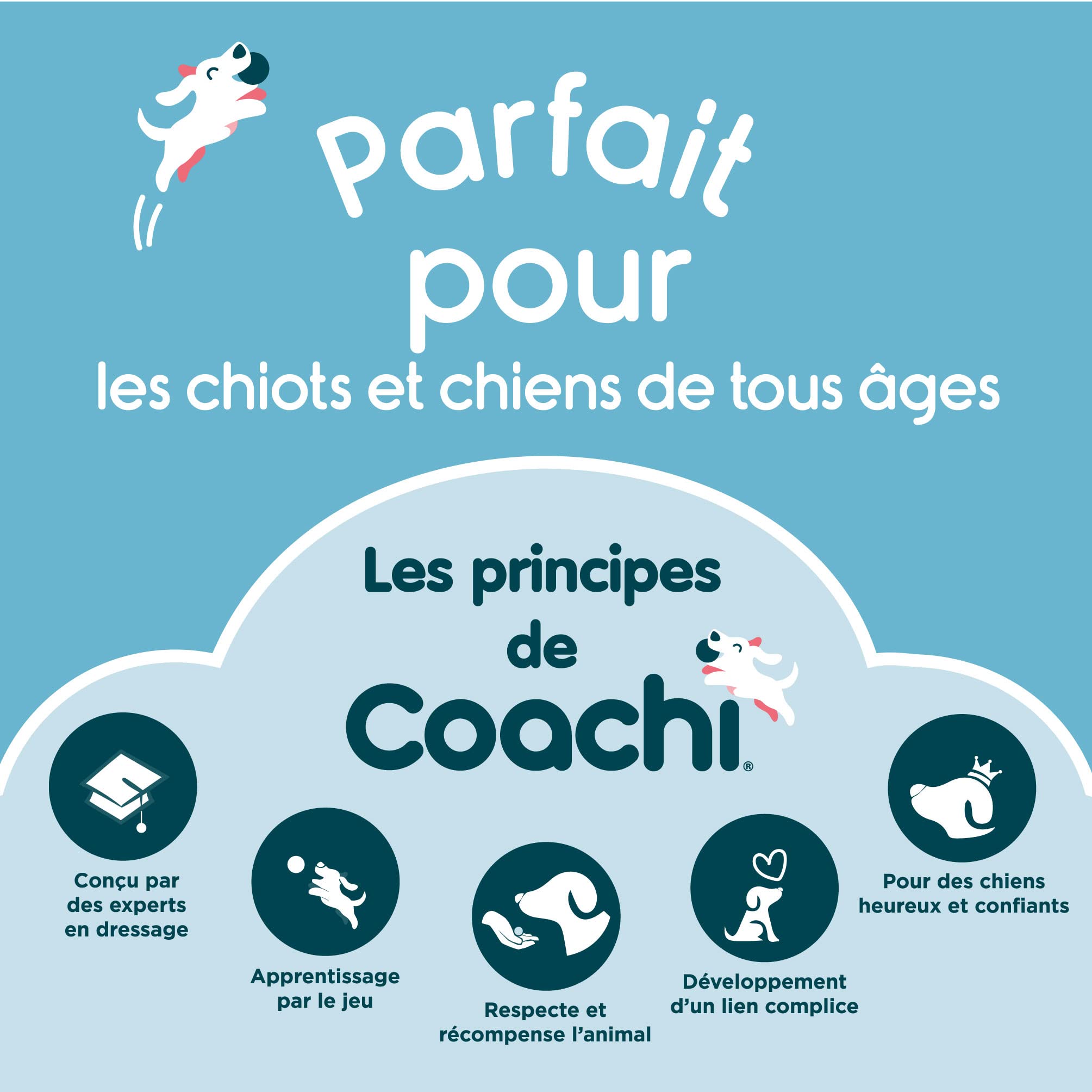 Coachi Multi-Clicker, Accessoire pour Chien, contrôle du Volume à 3 réglages, Facile à cliquer