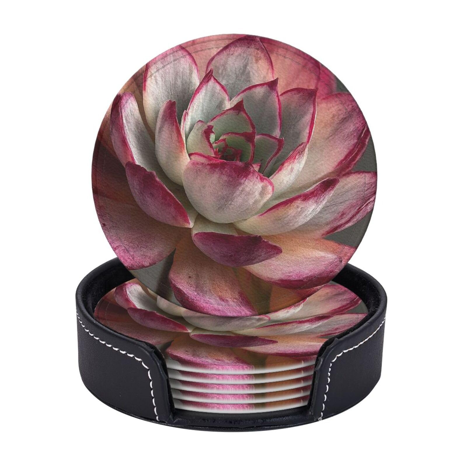 Coasters Set of 6 Leather Drink Coasters with Holder Succulent Coasters for Drinks Heat Resistant Coaster Round Coffee Cup Mat Pad for Kitchen Office Home Decor