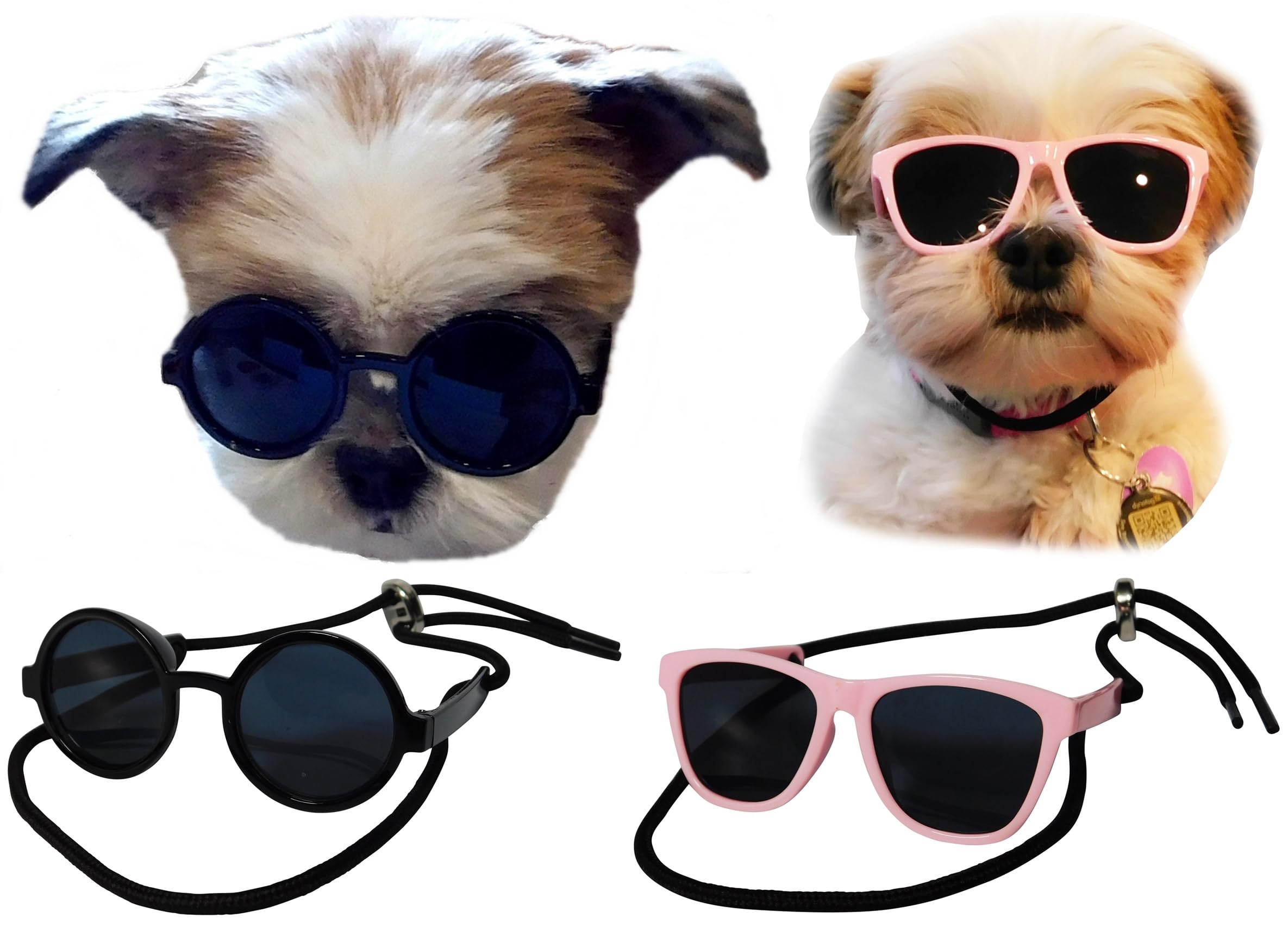 Lunettes de soleil pour chien et chat rondes années 80 balade été
