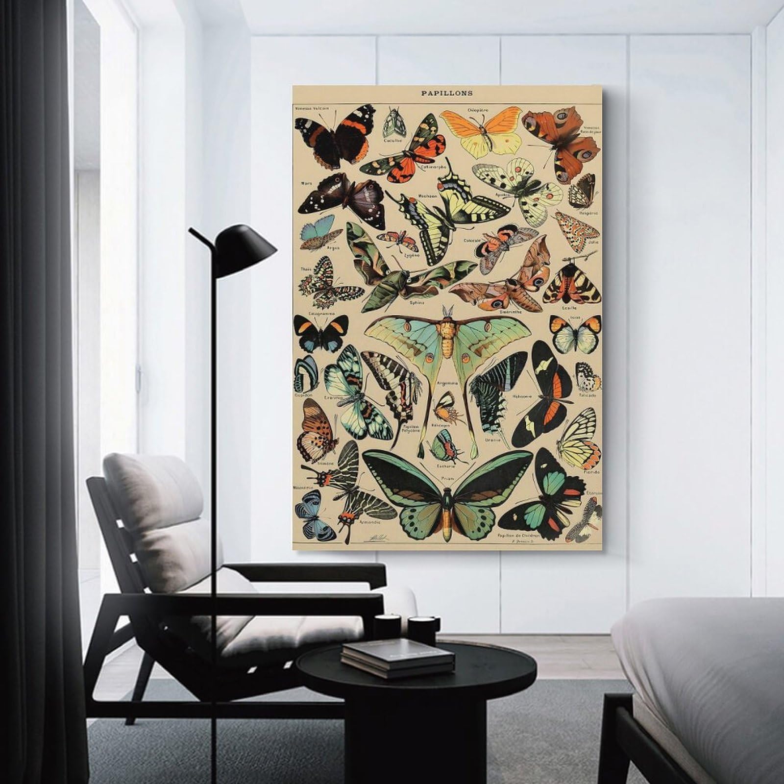 Junmoney Unframe-Style-6-1 Adolphe Millot Butterfly Wall Art Print, 24X36inch(60X90cm), For Office, Study Or Home Workspace, Decorative Artwork For Productive Spaces