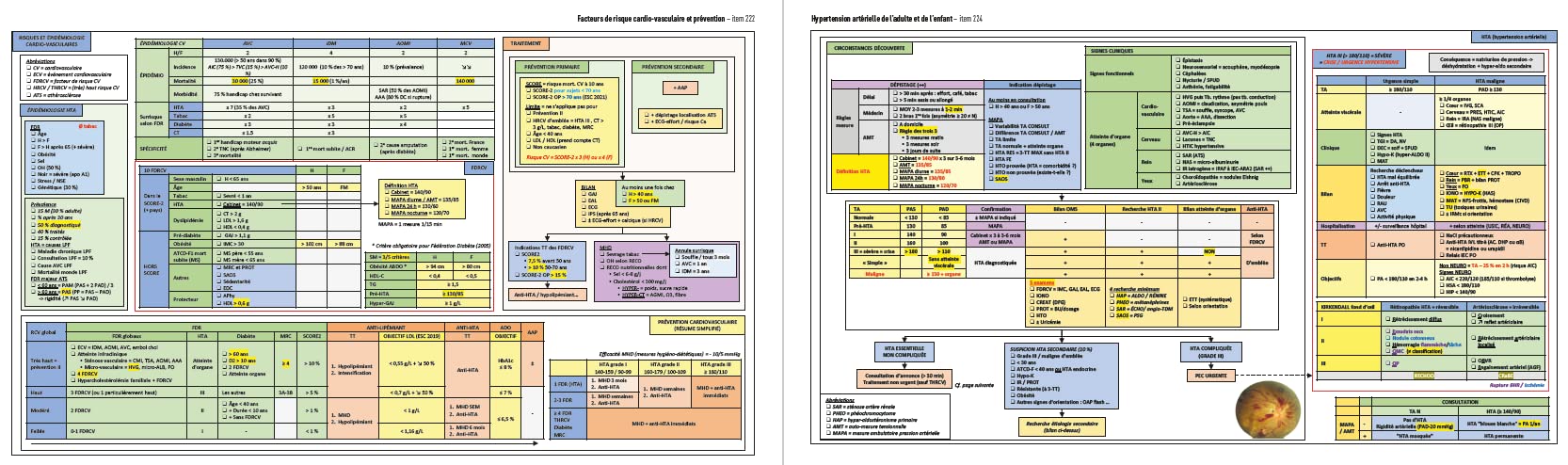 Objectif EDN : L'Atout EDN: Le programme R2C en 600 fiches visuelles colorées