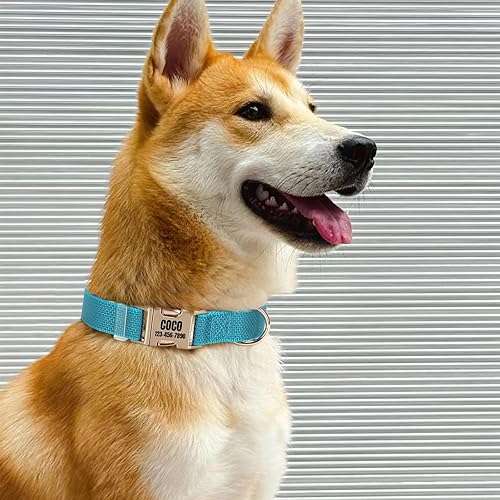 Miniatura 5 de Collar de nailon personalizado para mascotas con nombre, grabado con láser, diseño de punto ultra reflectante, hebilla de metal duradera para perros
