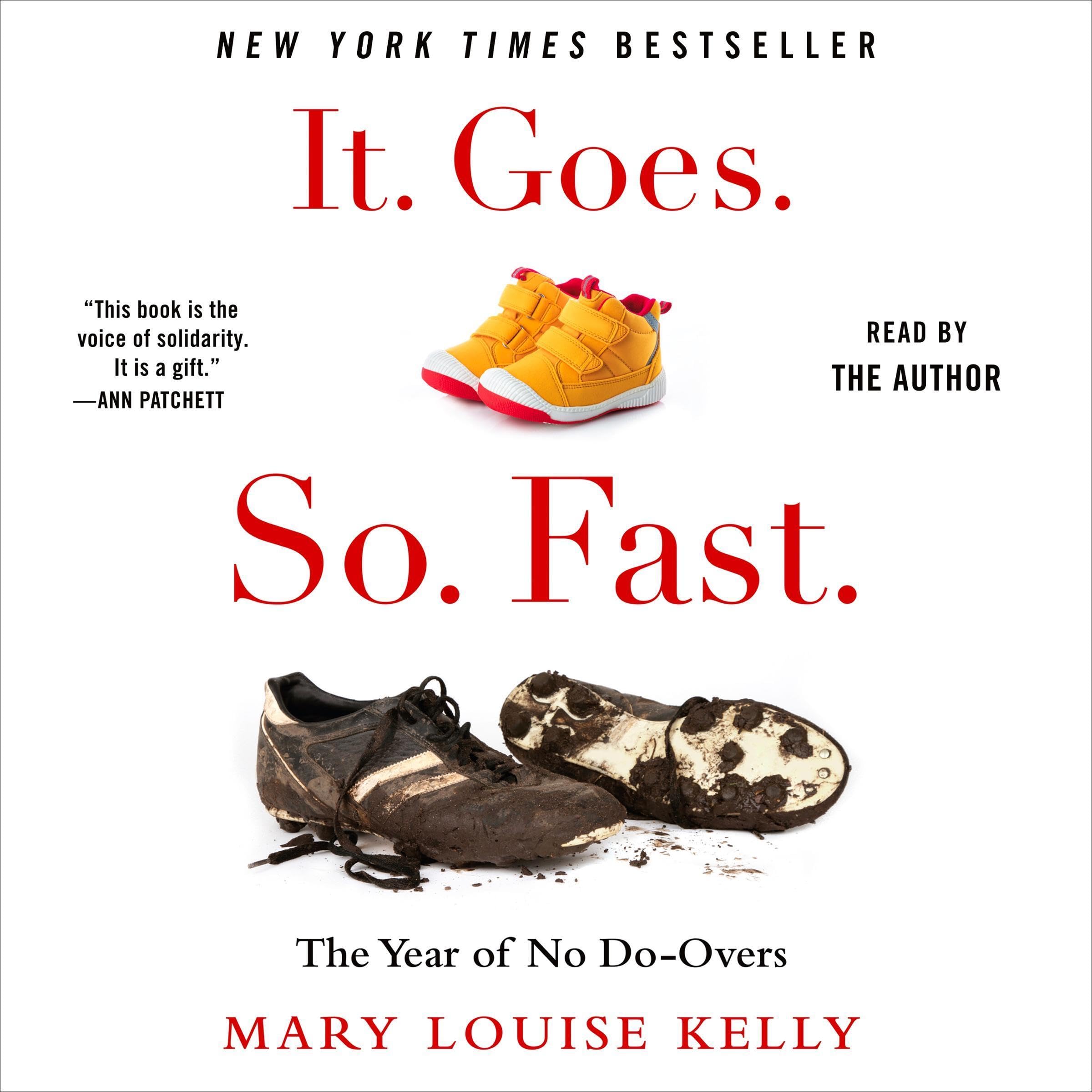 Cover art for It. Goes. So. Fast.