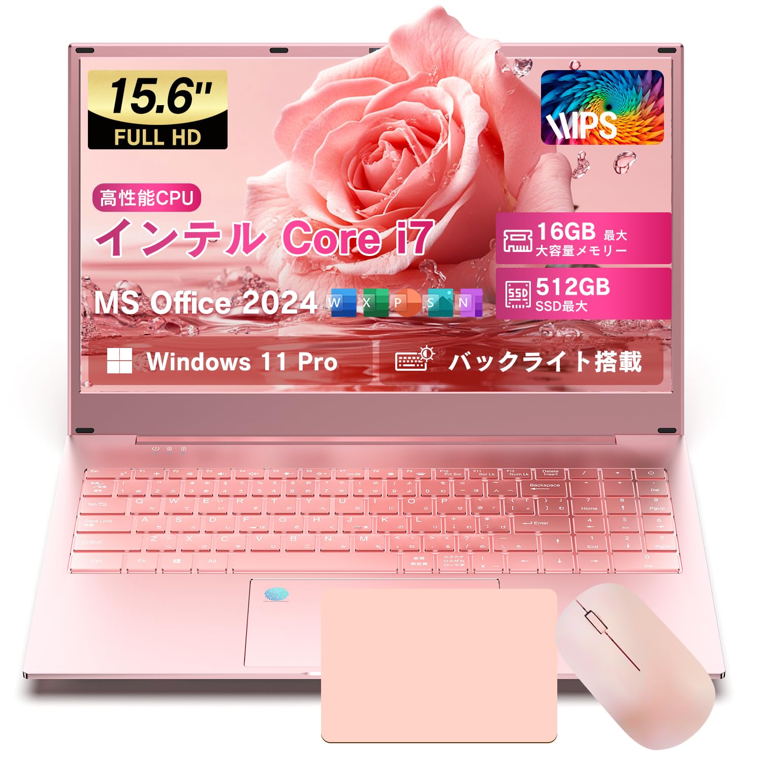Amazon.co.jp: Dobios
