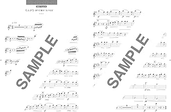 フルート・ソロで吹く クラシック名曲50選（カラオケCD2枚付