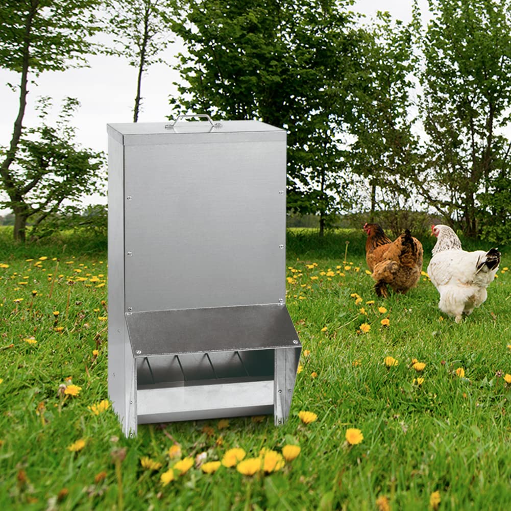 FINCA CASAREJO Tolva Exterior Galvanizada 23kg (40L) - Comedero de Gallinas Inoxidable - Toldo Antilluvia - Incluye: Guía Alimentación de Aves de Corral y bolsita de 150g Conchilla Plus