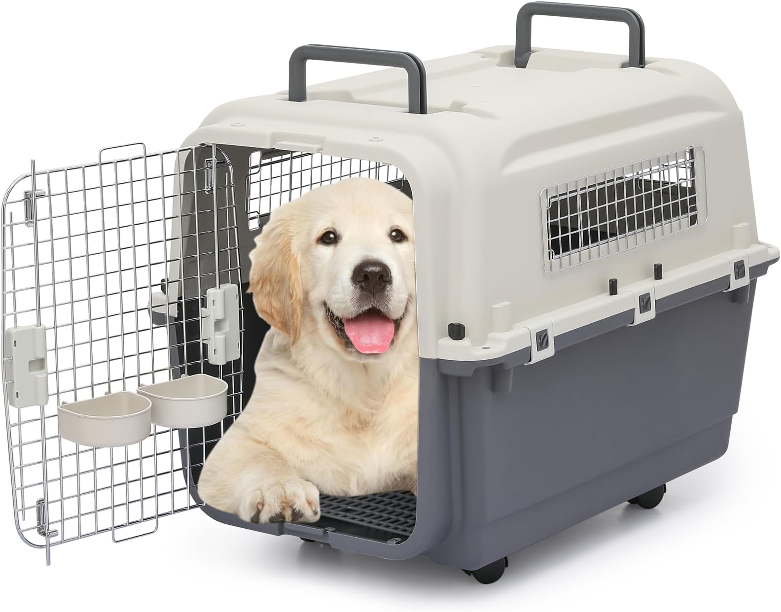 Tips for Traveling with Your Newfoundland Cross Dog by Car and Air