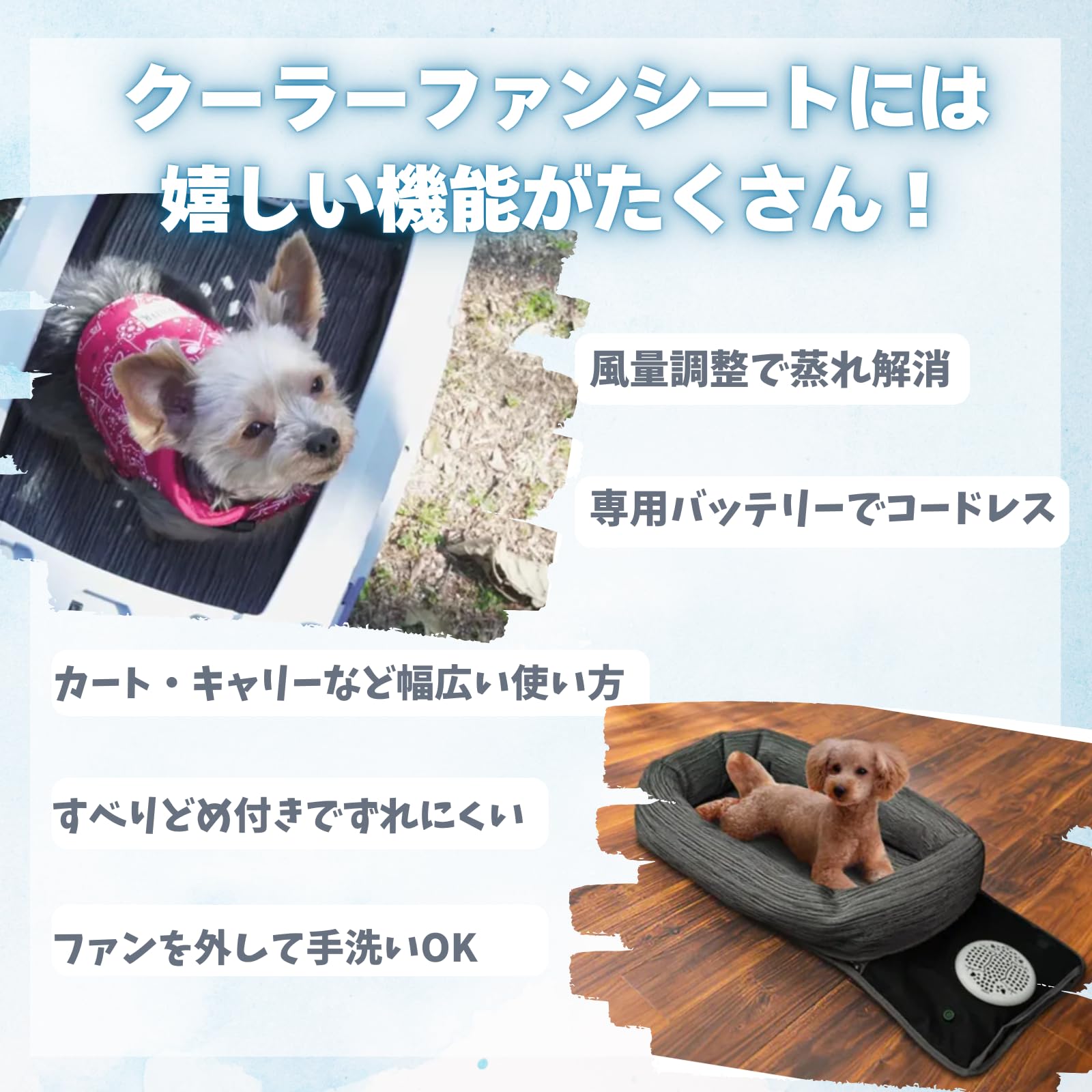Amazon | TAOTAO ペットクーラーファンシート 犬 ペット 猫 ひんやり