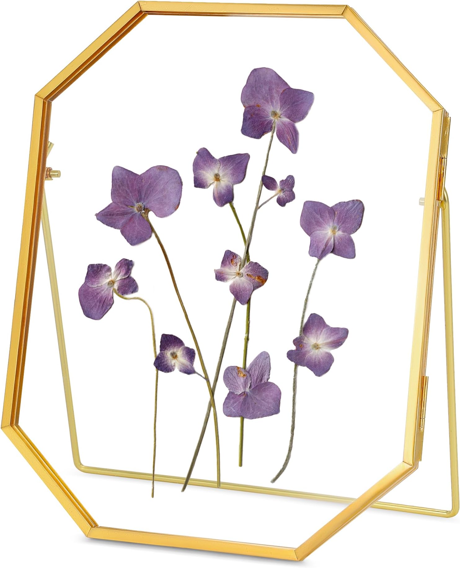 Glass Pressed Flower Frame Handmade, Metal Floating Picture Frame, Double Glass Frame for Pressed Flowers Tabletop Display Unique Brass Frame, Octagon, Gold, 6x8 inches (FRAME ONLY)