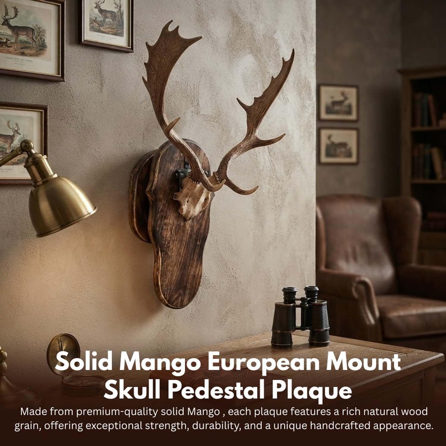 Wooden Deer Skull Mount Face Plate with Mounting Hardware, European Style, Whitetail (Antique Finsh)
