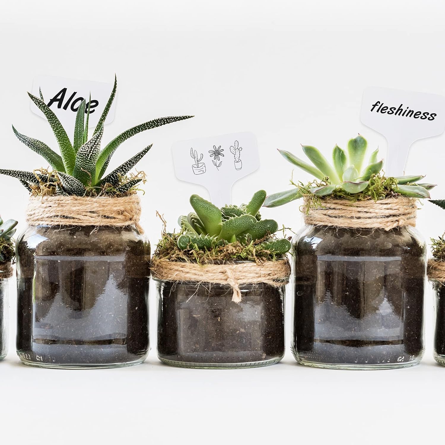 KINGLAKE 100 piezas etiquetas para plantas jardinería huerta impermeable plastico adecuado para nombre plantas,blanco,6x10CM idades