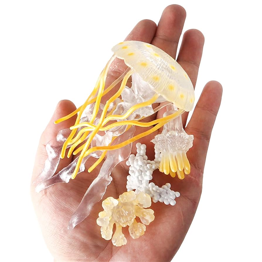 呼吸するくらげ 呼吸するくらげ ビゼンクラゲ (Rhopilema