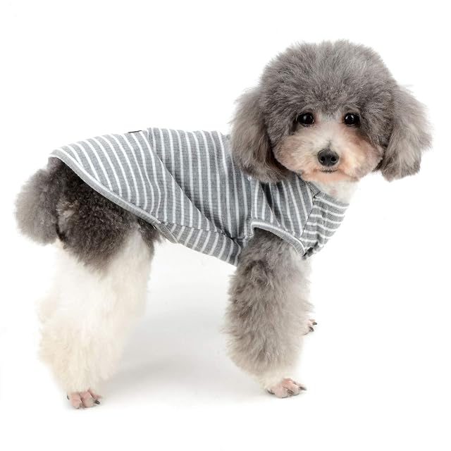 Foto 6 de 8 de Ranphy Camisa de algodón a rayas para perros, ropa para cachorros, ropa para perros pequeños