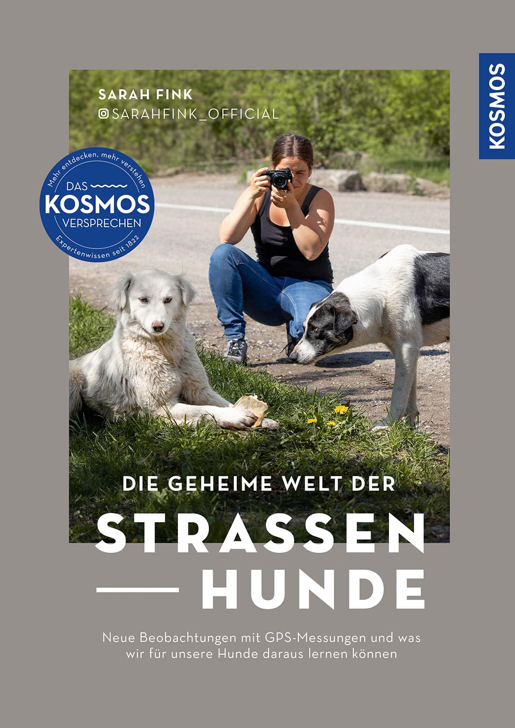 Die geheime Welt der Straßenhunde: Neue Beobachtungen mit GPS-Messungen und was wir für unsere Hunde daraus lernen können