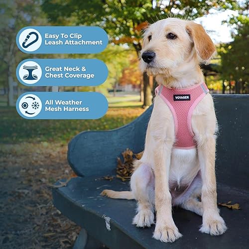 Vista 237 de Best Pet Supplies Voyager Step-in Air - Arnés de malla para todo tipo de clima, reflectante, antitirones, para perro y gato pequeño y mediano, Arnés