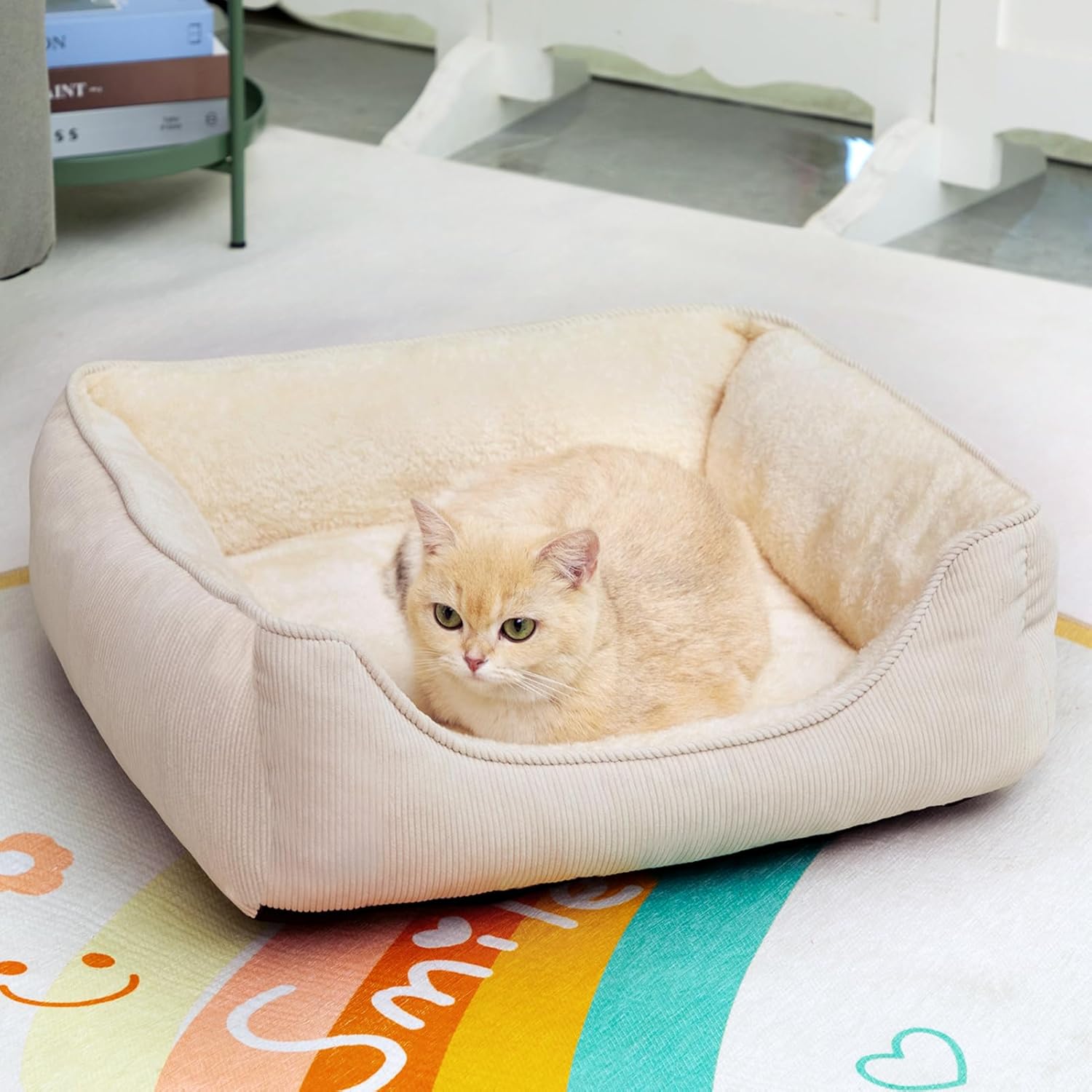 Hollypet Cat Bed Small Dog Bed Pet Bed for Cats and Puppy, Soft Pet Sleeping Bed Breathable Pet Cushion, Beige(55 * 45 * 15cm) 4 71V9KtHhU7L. AC SL1500