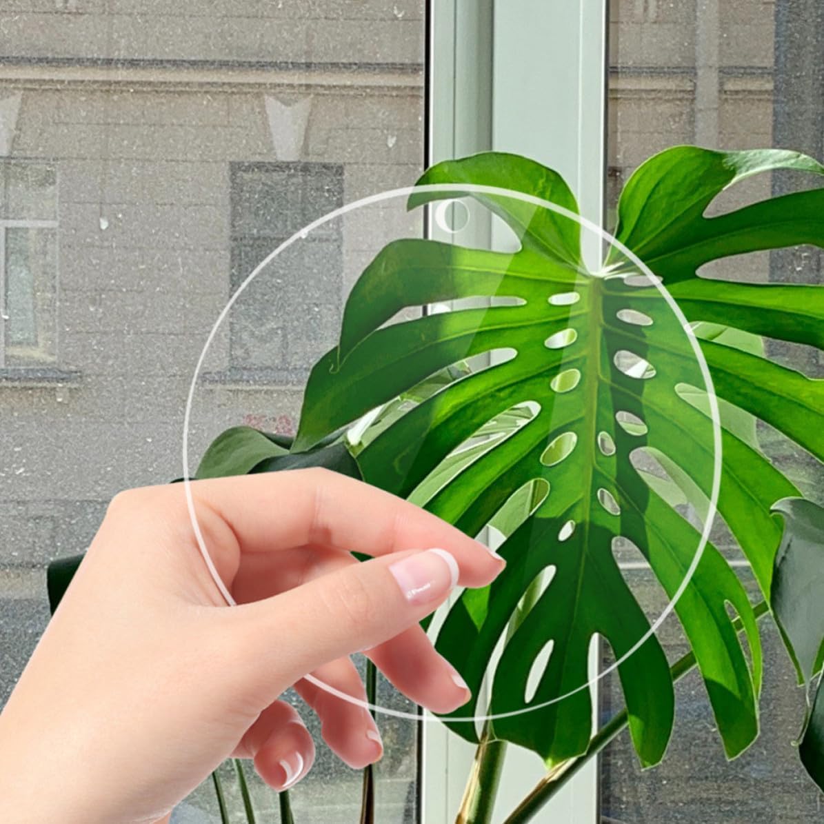 16pcs Acrylic Round Discs with Holes 2mm Thick 10cm Diameter DIY Acrylic Blanks for Crafting Hanging Ornaments and Keychain Making
