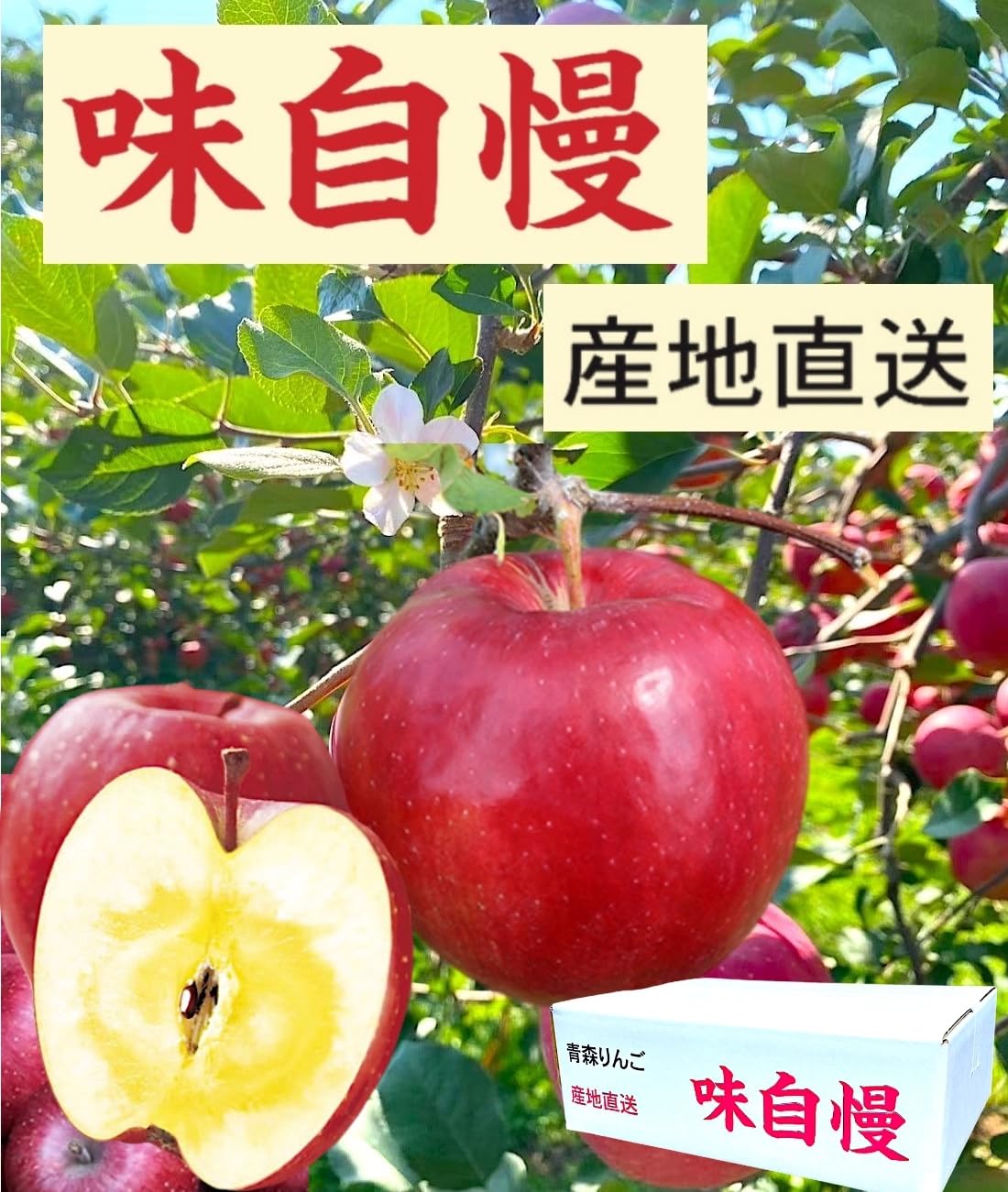 Amazon.co.jp: 【樹上完熟へのこだわり～赤りんご】訳あり 約3.5kg