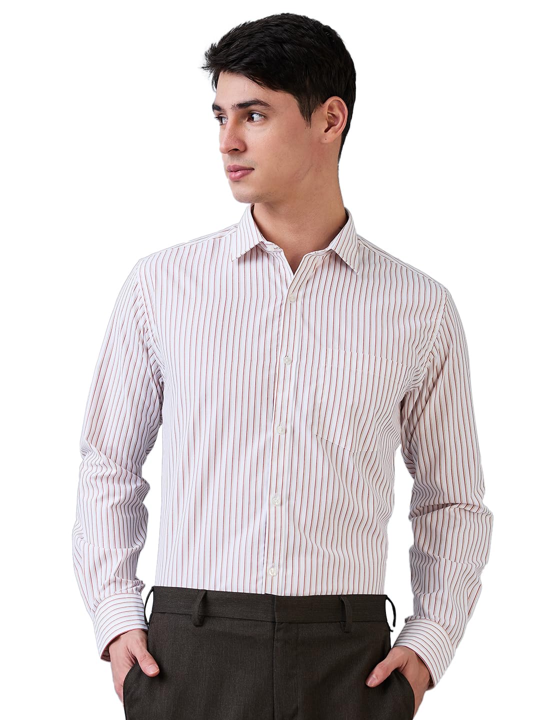 park avenue Men Slim Fit Stripe Pattern Cotton Blend Semi Cut Away Collar Full Sleeve Formal Shirt-picture-33