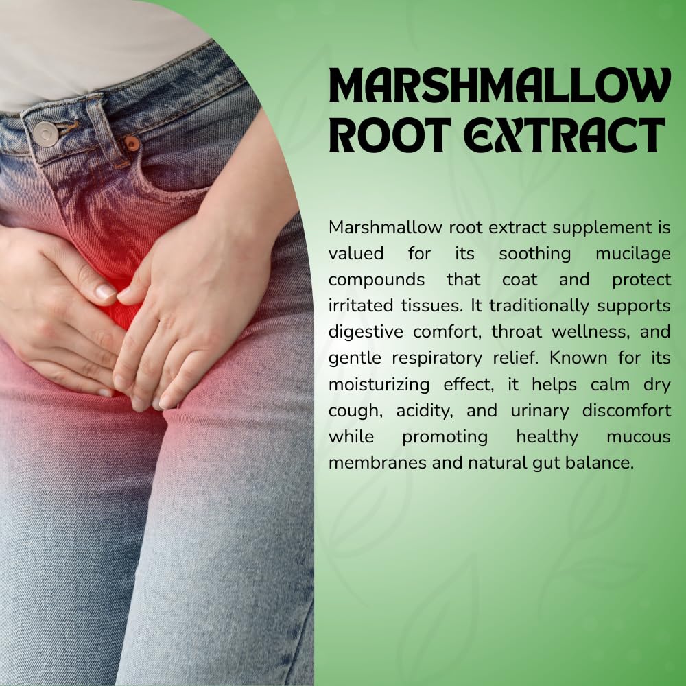 MARSHMALLOW ROOT EXTRACT CAPSULES - 60 CAPSULES (GET 1 BOTTLE MARSHMALLOW ROOT EXTRACT 50ML DROPS FREE) — Amazon image 3