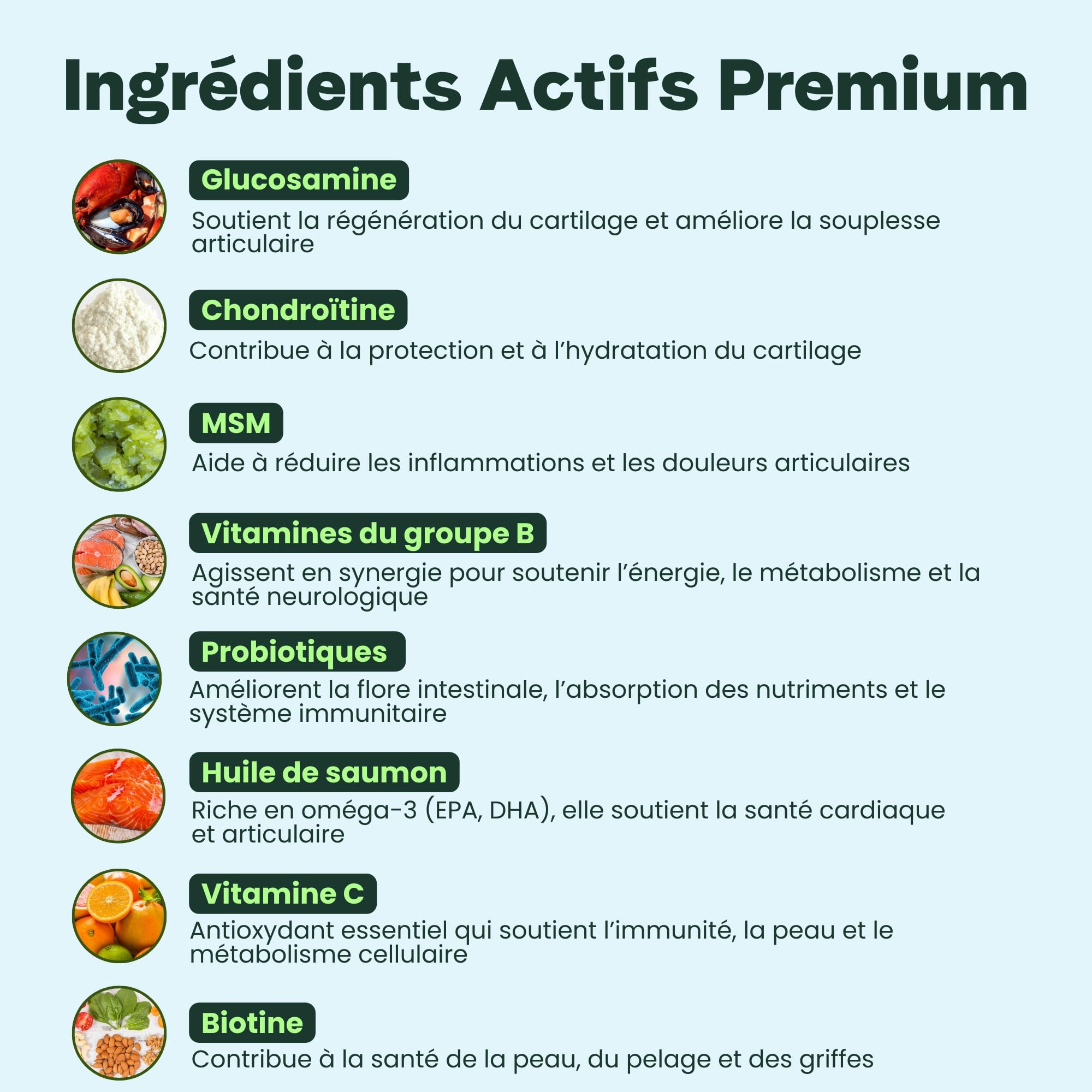 BESTI - 8 en 1 | 120 Compléments Alimentaires Premium Multi-Vit pour Chiens | Vitalité, Probiotiques, Articulations, Pelage, Coeur, Cerveau | Marque Française - Formule Vétérinaire | Au Poulet | 300gr